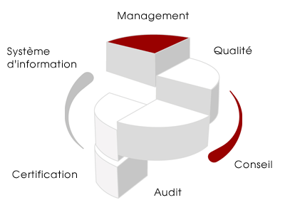 DDLT Consultants : Organisation et management par la qualité