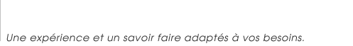DDLT Consultants : Organisation et management par la qualité